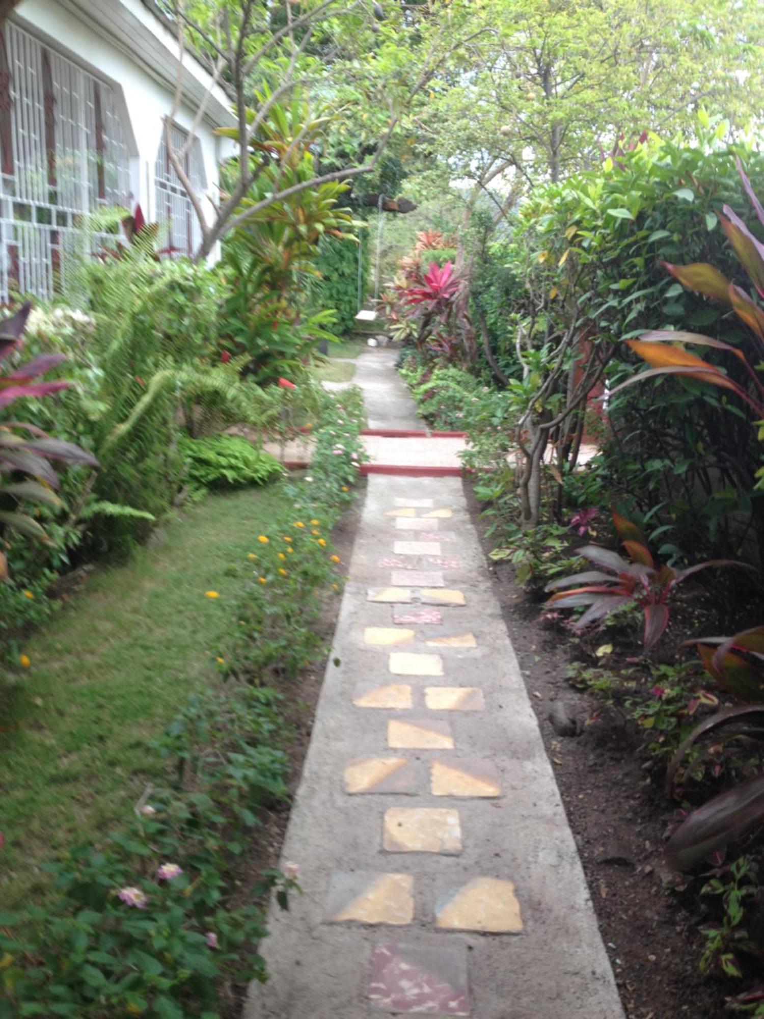 Kingston Airport Bed And Breakfast المظهر الخارجي الصورة
