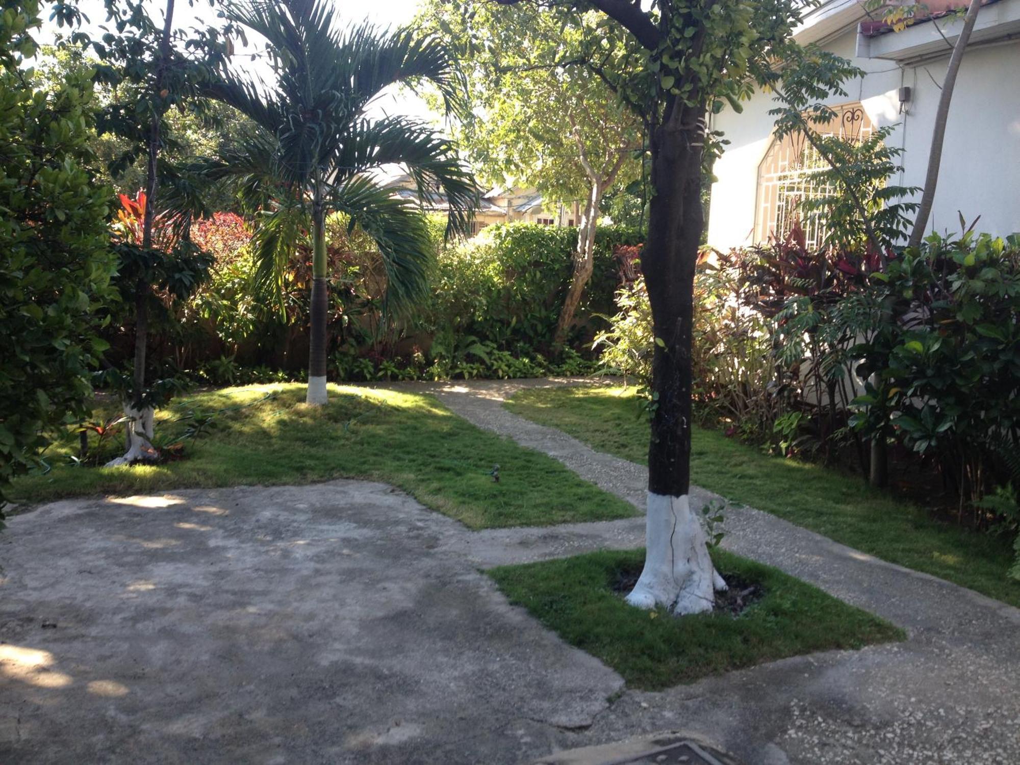 Kingston Airport Bed And Breakfast المظهر الخارجي الصورة
